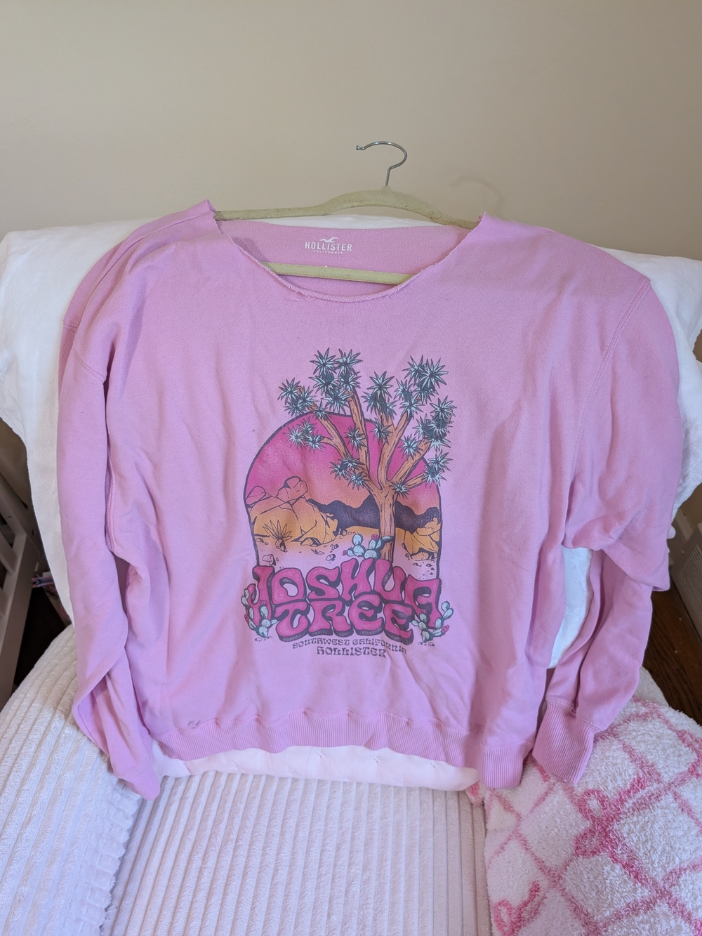 Hollister Women's Pink Joshua Tree Graphic Sweater